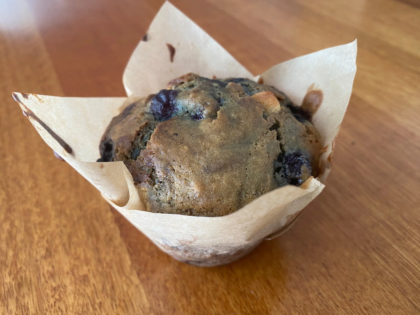 Blueberry and White Chocolate Muffin